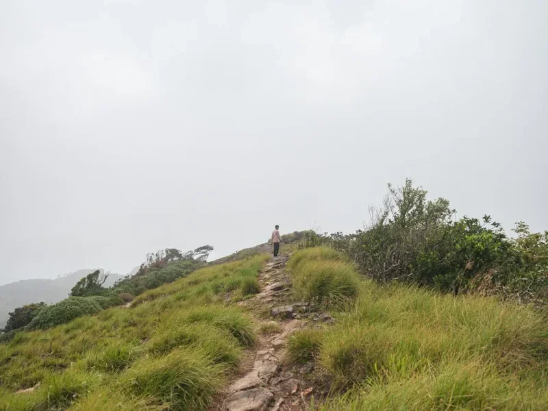 Hiking trail path on the Adams Peak Sri Pada