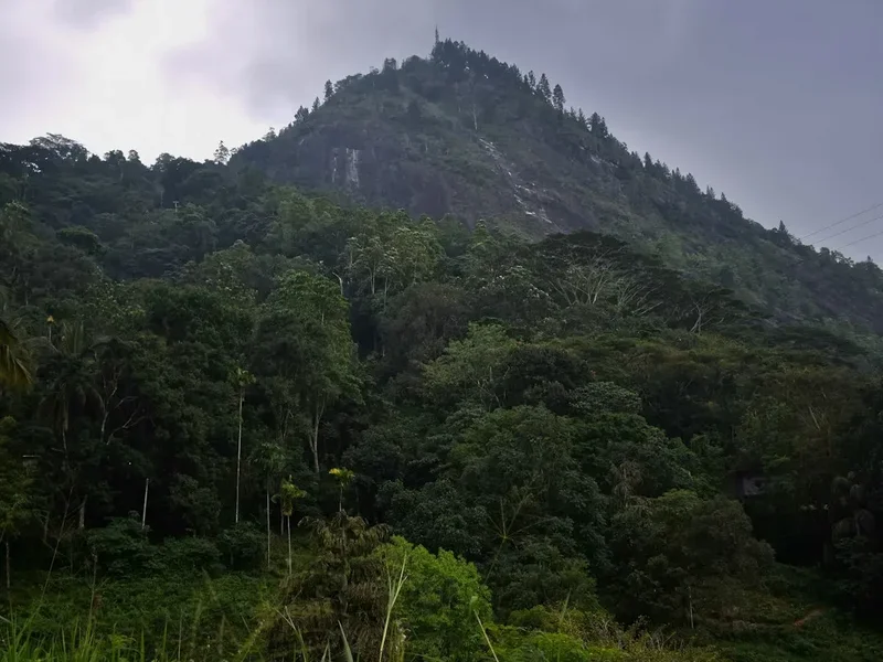Forest and landscape view on the Adams Peak Sri Pada