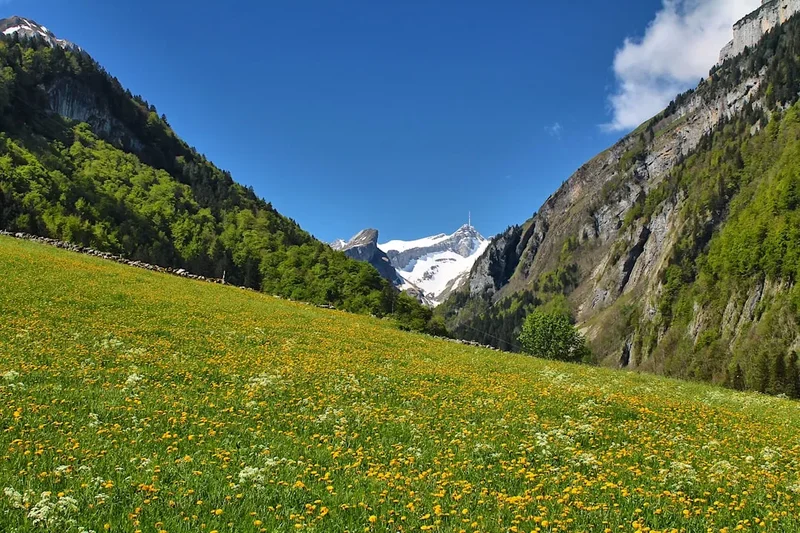 Albula Pass Trail - Visual 1