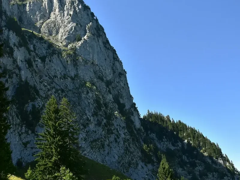 Mountain and nature scenery on the Albula Pass Trail