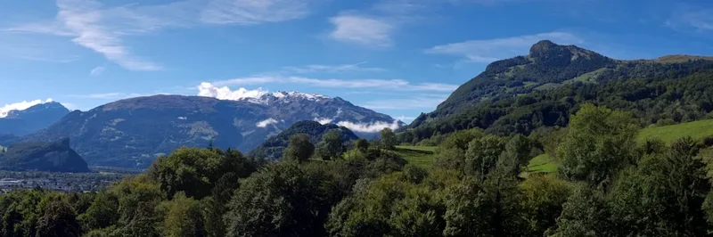 Forest and landscape view on the Aletsch Glacier Trail