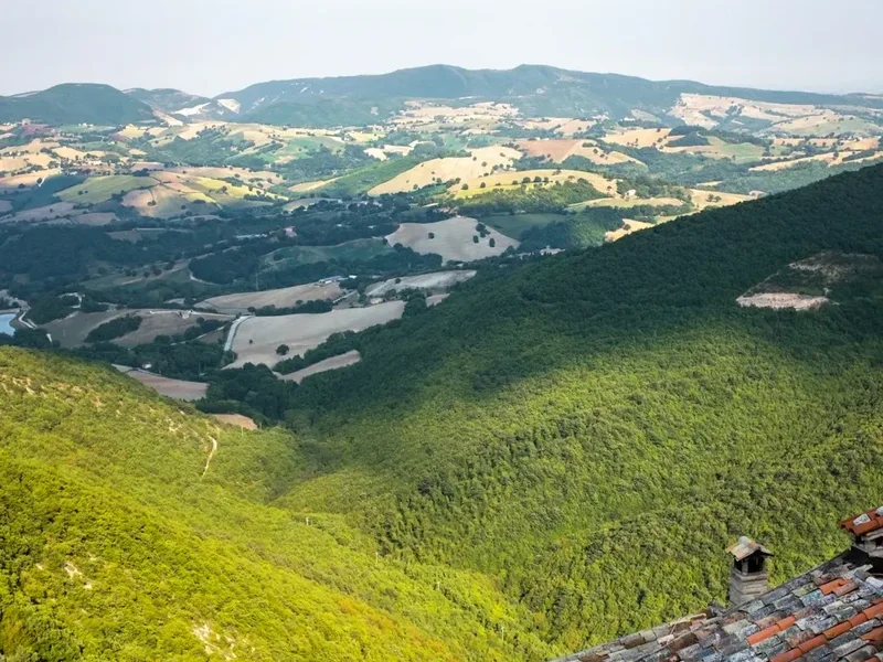 Forest and landscape view on the Alta Via 2