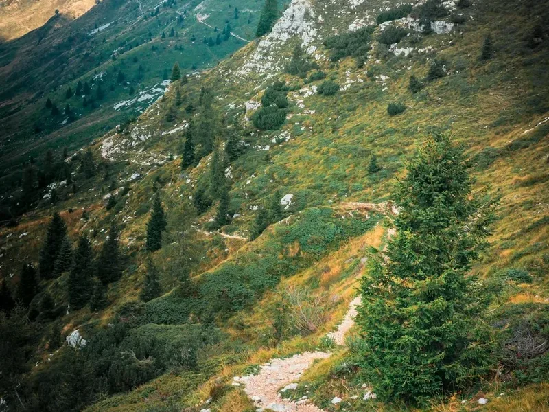 Hiking trail path on the Alta Via Liguri