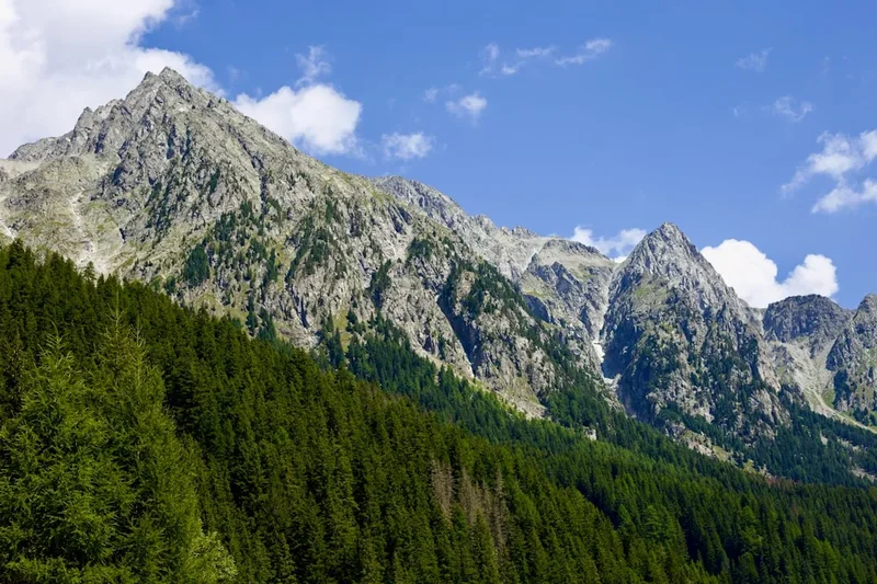Forest and landscape view on the Alta Via Liguri