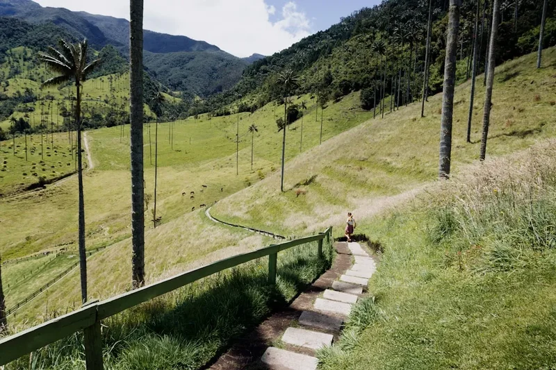 Hiking trail path on the Alto De Letras Walk