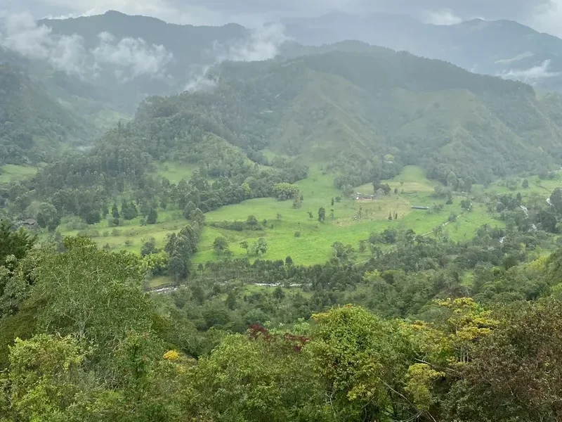 Forest and landscape view on the Alto De Letras Walk