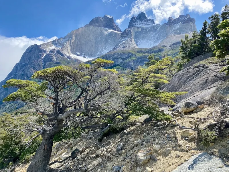 Mountain and nature scenery on the Altos De Lircay Trek