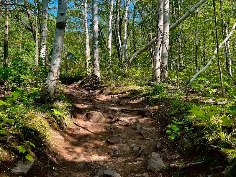 Hiking trail path on the Appalachian Trail