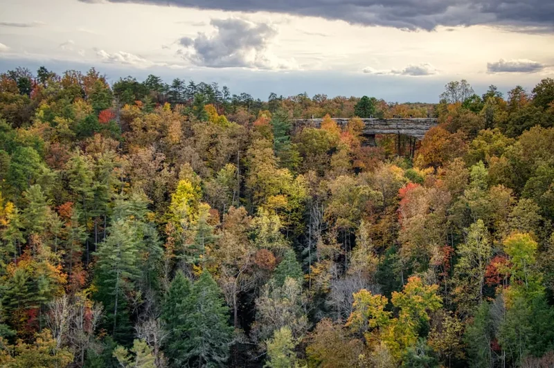 Forest and landscape view on the Appalachian Trail