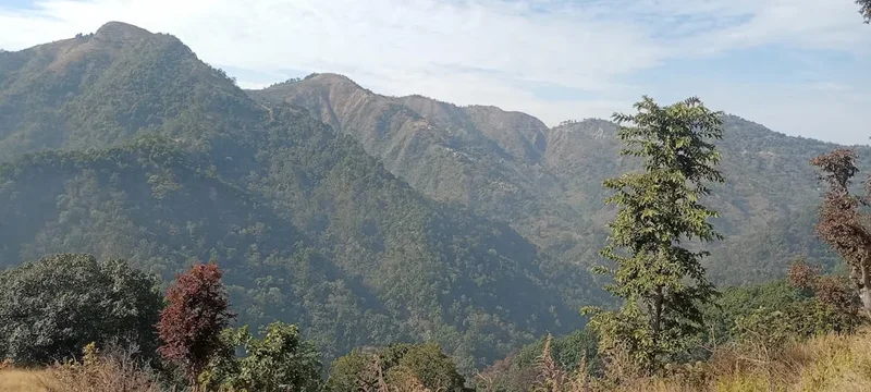 Mountain and nature scenery on the Araku Valley Trail