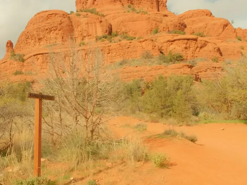 Hiking trail path on the Arizona Trail