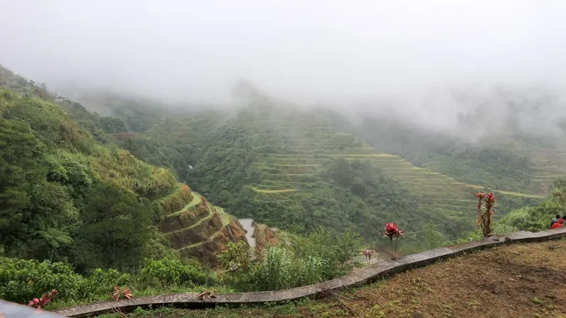 Hiking trail path on the Banaue Rice Terraces Trek