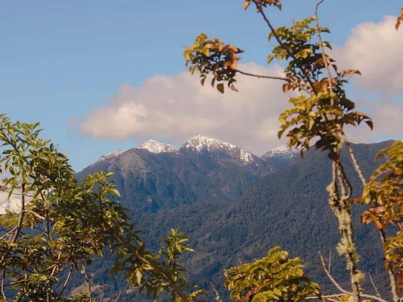 Forest and landscape view on the Base Of The Towers