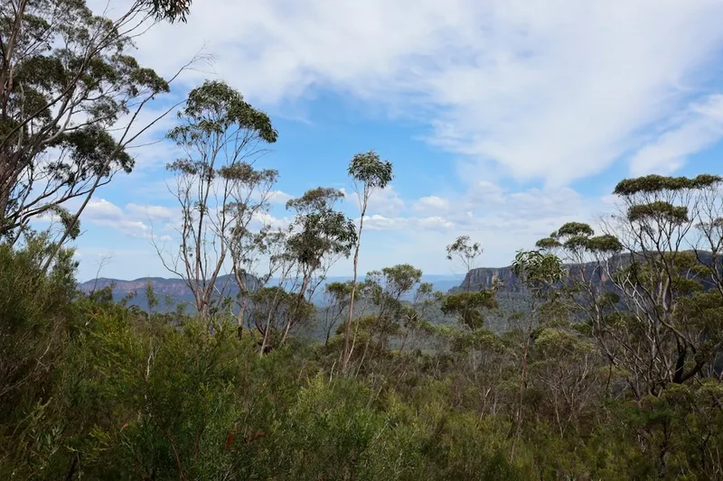 Forest and landscape view on the Bay Of Fires Walk