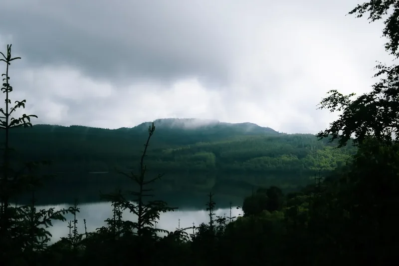 Forest and landscape view on the Beinn Eighe Trail