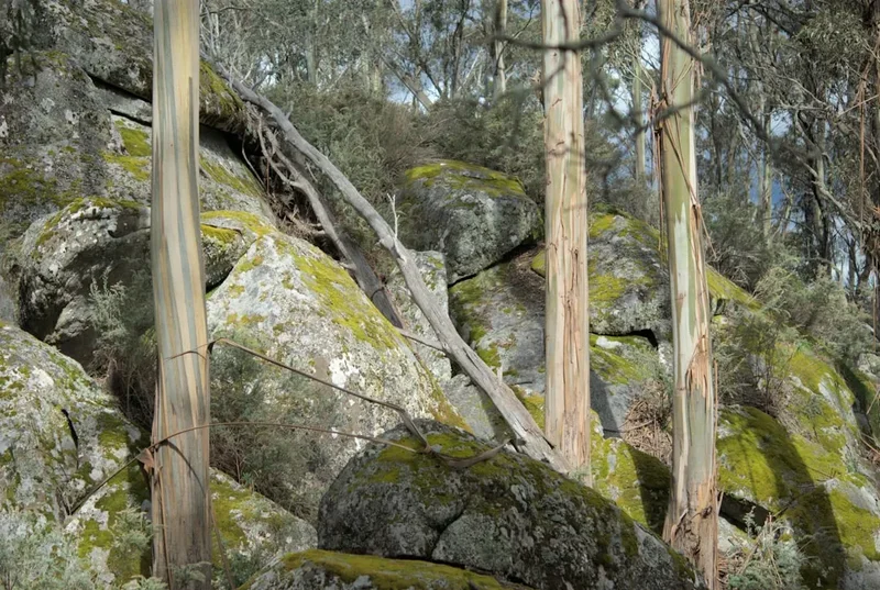 Belougery Split Rock Circuit - Visual 2