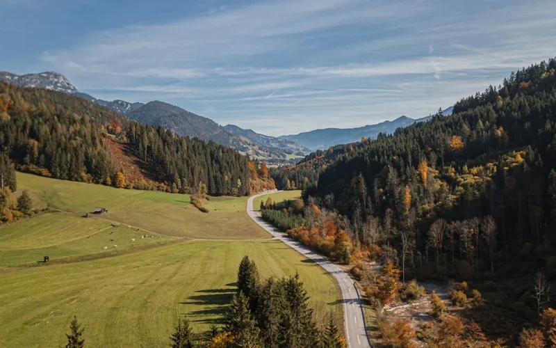 Hiking trail path on the Berliner Hoehenweg