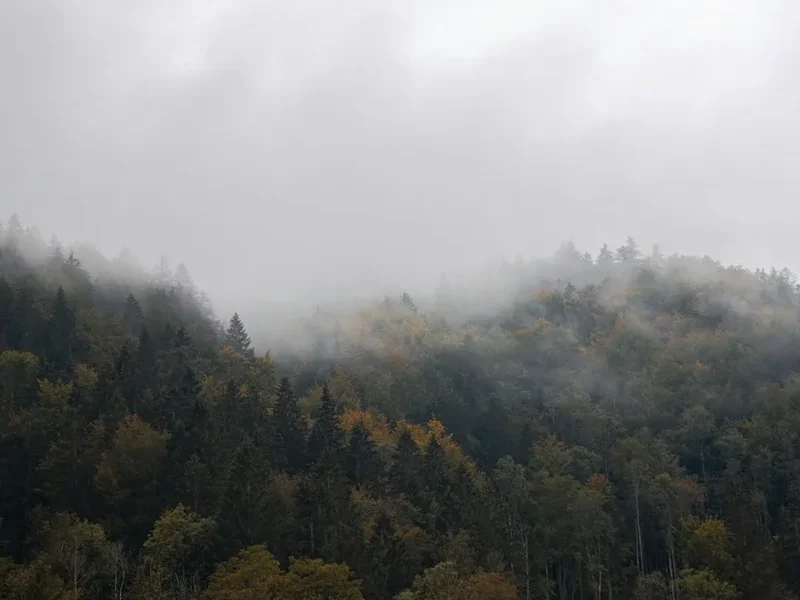 Forest and landscape view on the Berliner Hoehenweg
