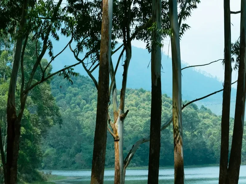 Bhrigu Lake Trek - Visual 2