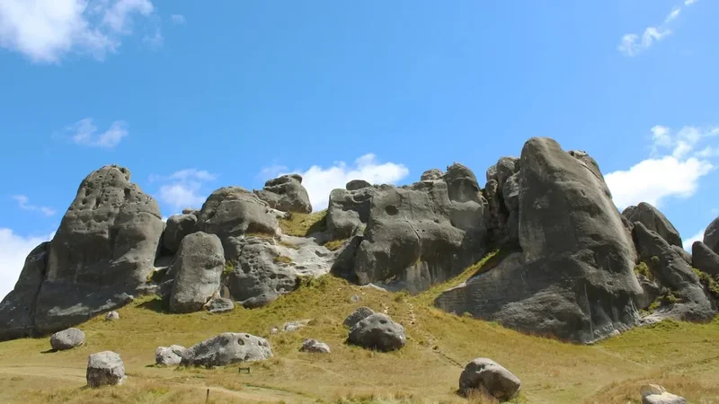 Hiking trail path on the Big Hill Track