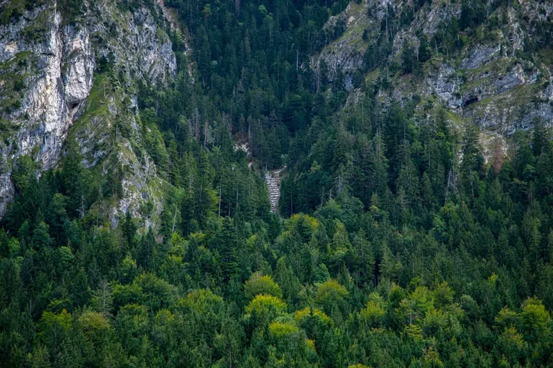 Mountain and nature scenery on the Black Forest Trail