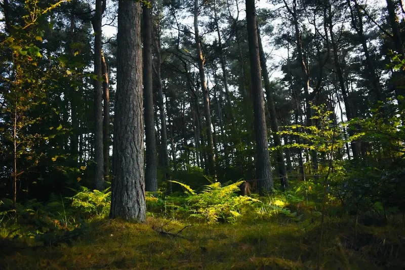 Blorenge Circular Walk - Visual 2