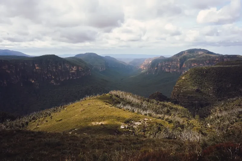 Forest and landscape view on the Blue Mountains Walkabout