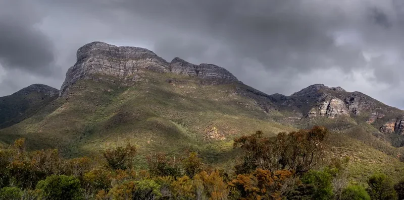 Forest and landscape view on the Bluff Knoll Trail