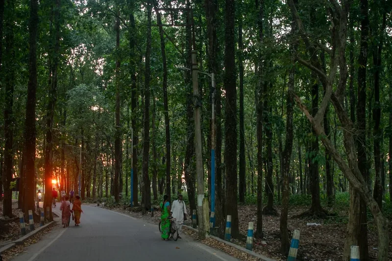 Forest and landscape view on the Bodh Gaya Pilgrimage Circuit