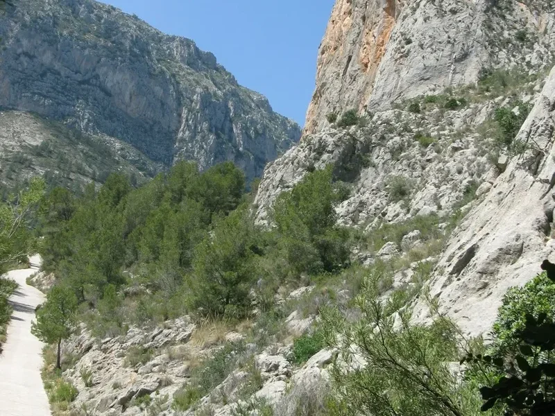 Hiking trail path on the Camino Aragones