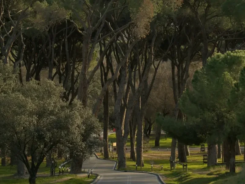 Forest and landscape view on the Camino De Madrid