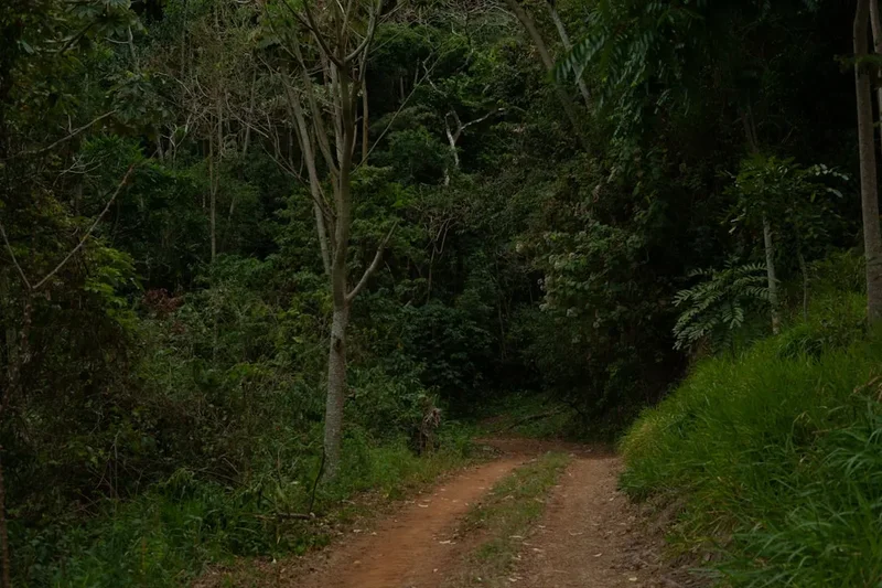 Hiking trail path on the Canion Itaimbezinho Trail