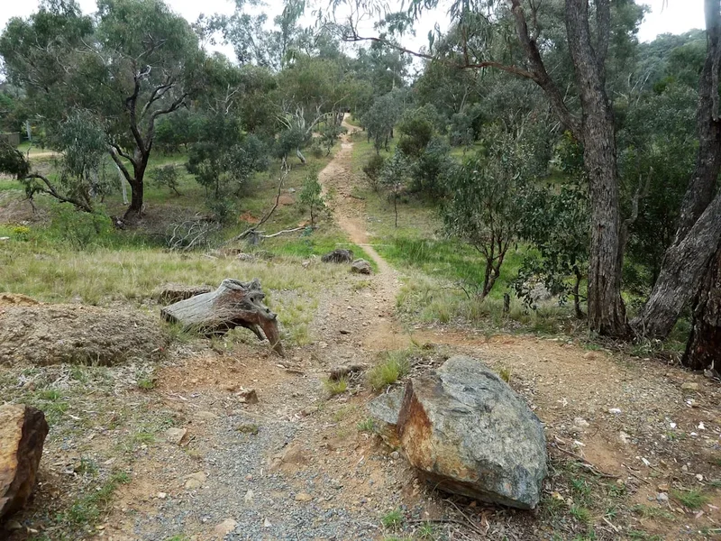 Hiking trail path on the Cape To Cape Track