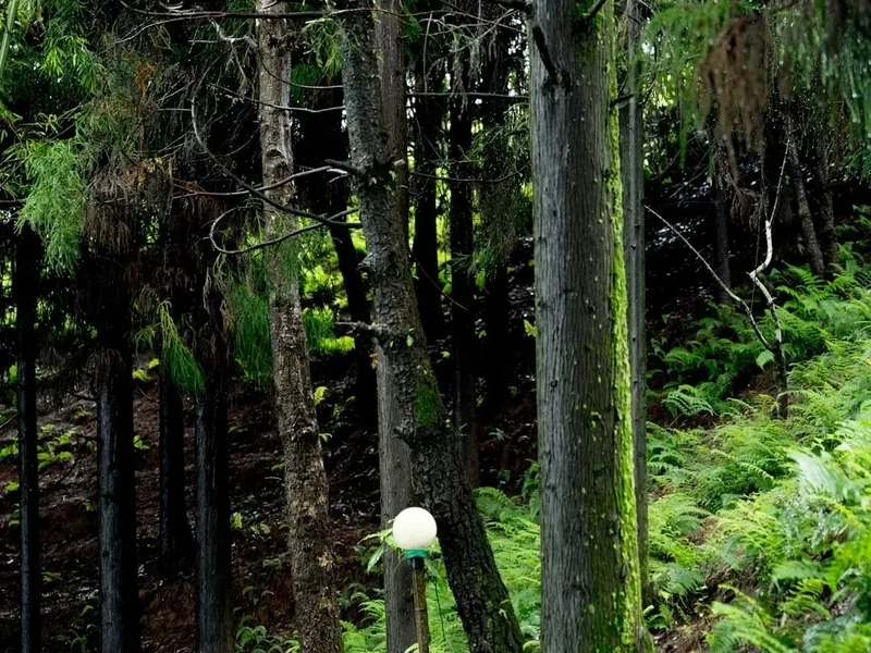 Cares Gorge to Bulnes - Visual 1