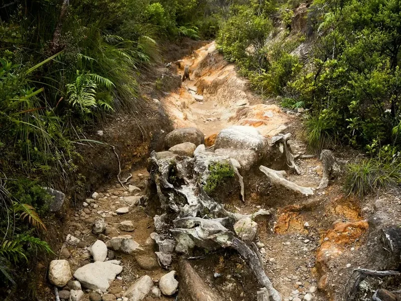 Hiking trail path on the Cascade Saddle Route