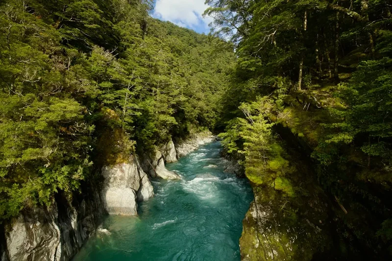 Forest and landscape view on the Cascade Saddle Route