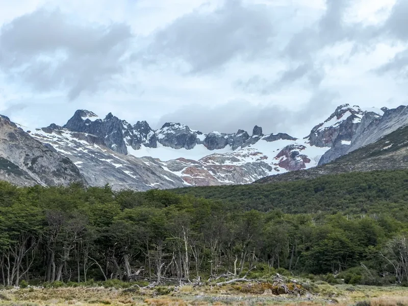 Forest and landscape view on the Cerro Madsen Ascent