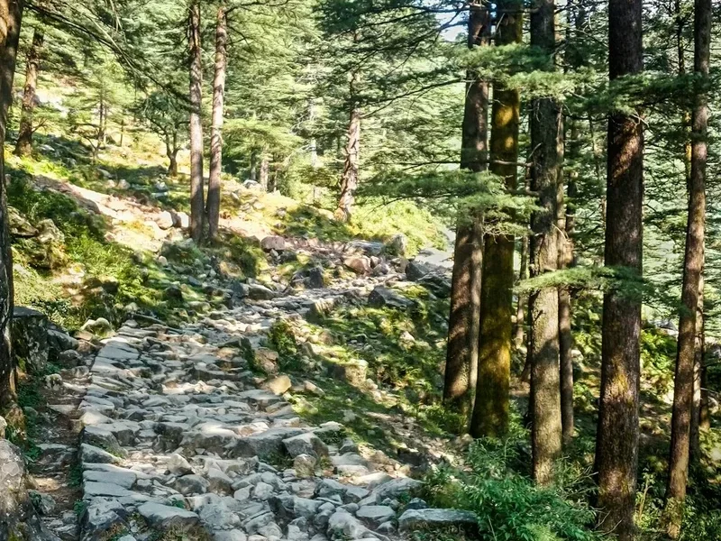 Hiking trail path on the Chembra Peak Trek