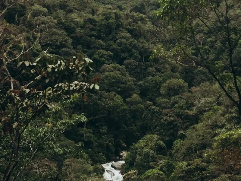 Chirripó Trek - Visual 1