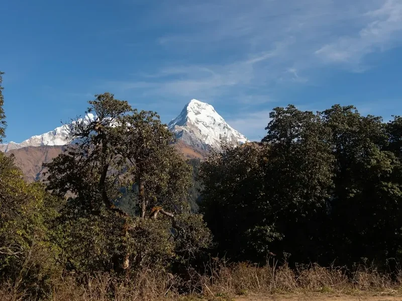 Hiking trail path on the Chisapani Nagarkot Hike