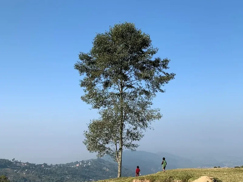 Forest and landscape view on the Chisapani Nagarkot Hike