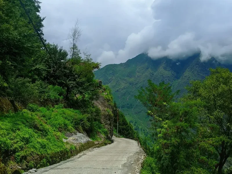 Hiking trail path on the Chopta Tungnath Trek