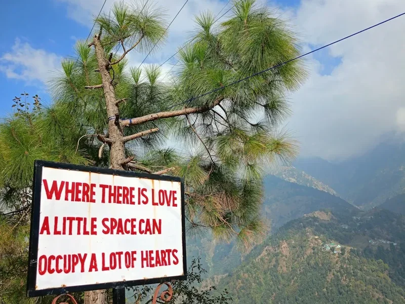 Forest and landscape view on the Chopta Tungnath Trek