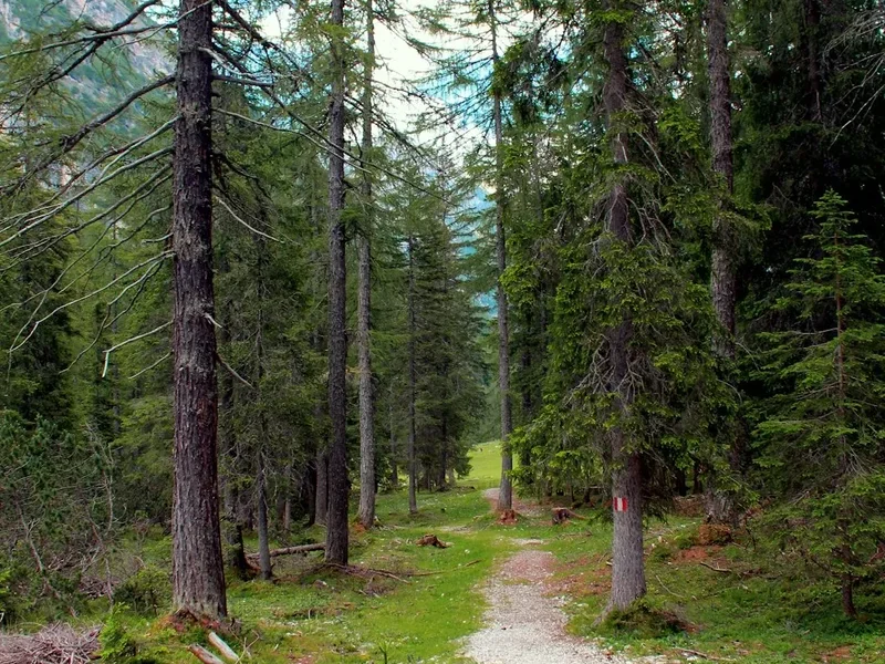 Cinque Terre Blue Trail - Visual 2