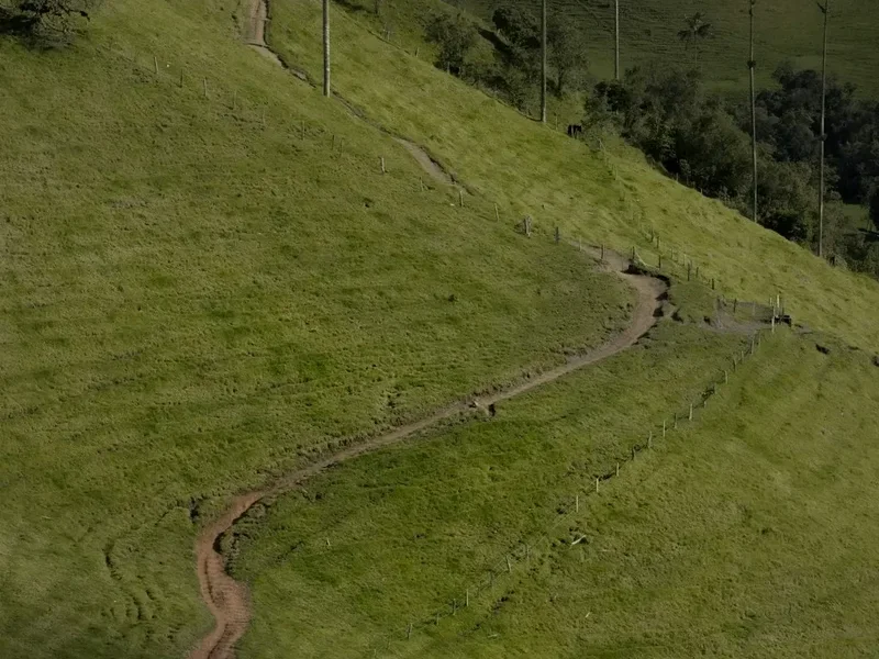 Hiking trail path on the Ciudad Perdida Trek