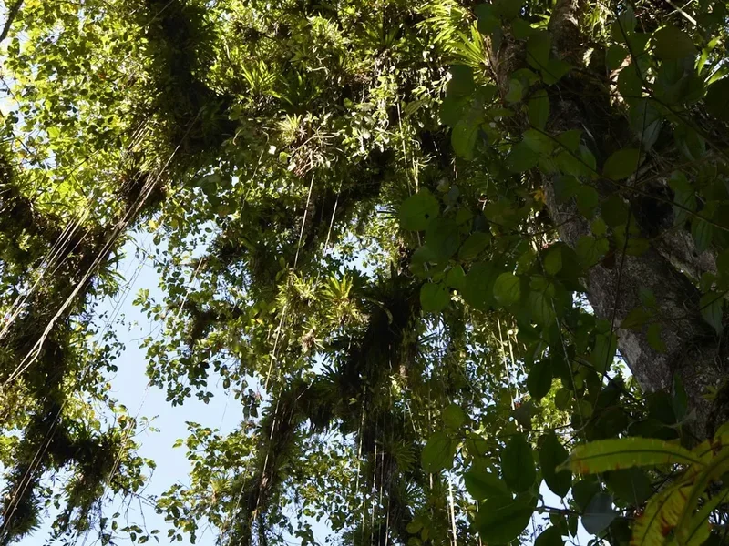 Ciudad Perdida Trek - Visual 2