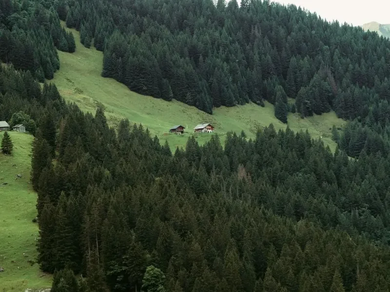 Forest and landscape view on the Cluozza Hut Trail