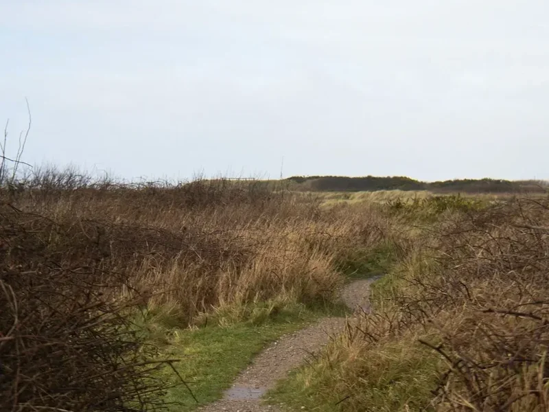 Hiking trail path on the Coast To Coast Walk Day Section