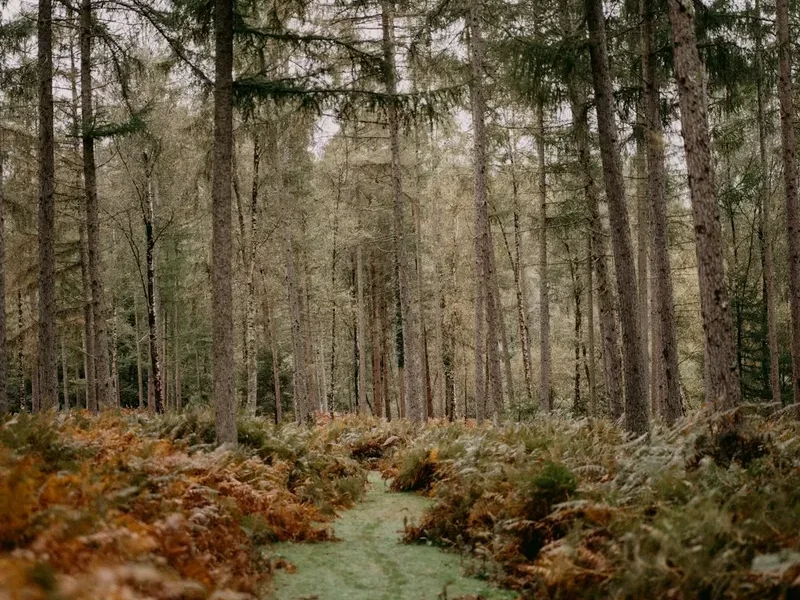 Coast to Coast Walk (Day Section) - Visual 2