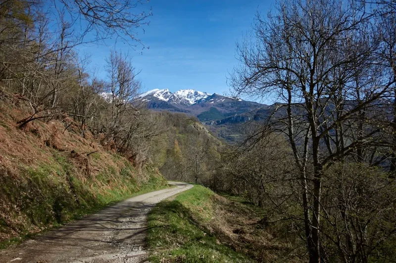 Hiking trail path on the Col Cayolle Bachelard
